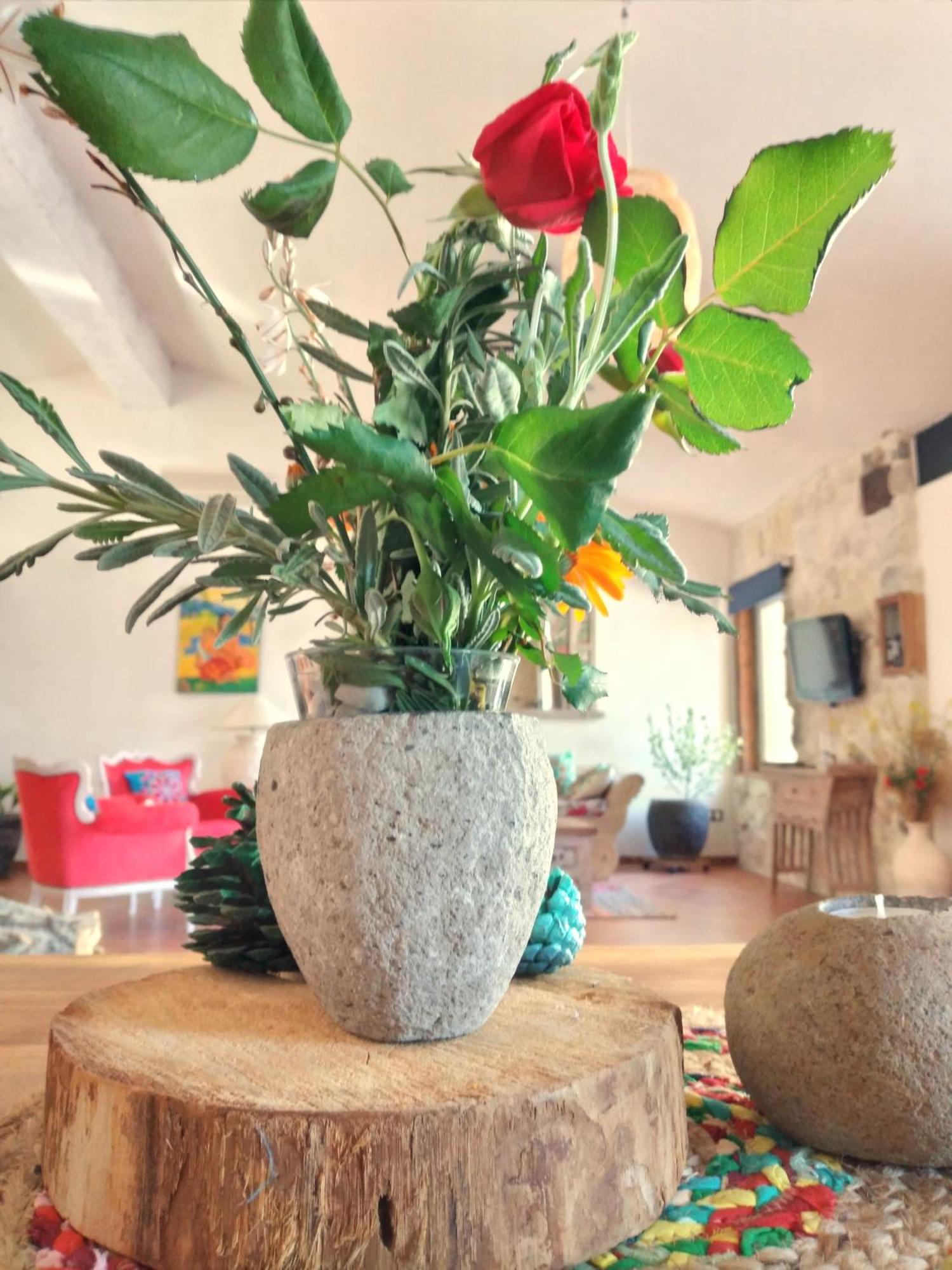 Loft Carriones Villa Castillejar ภายนอก รูปภาพ